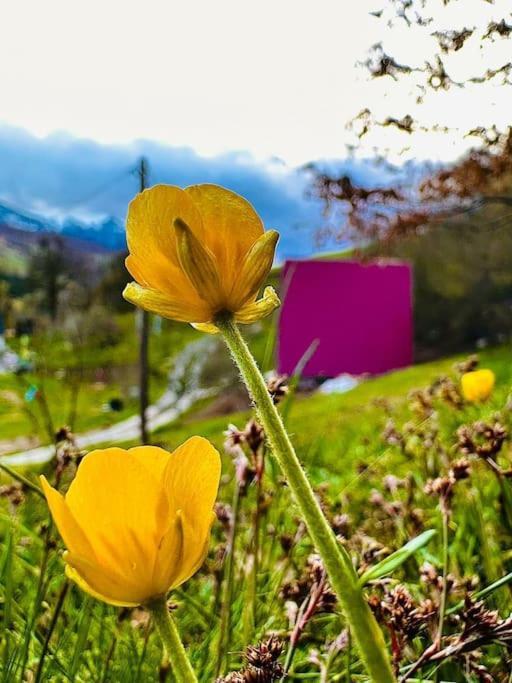 Willa The View D Bijelo Polje Zewnętrze zdjęcie